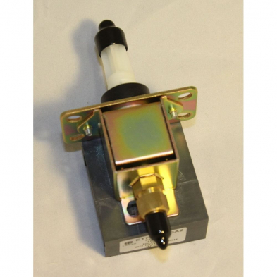 Fuel Pump (L30)
